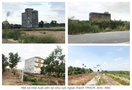 TPHCM: Tìm giải pháp phát triển bền vững nghề nuôi yến